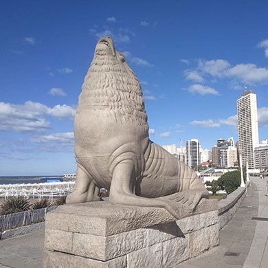 Mar del Plata